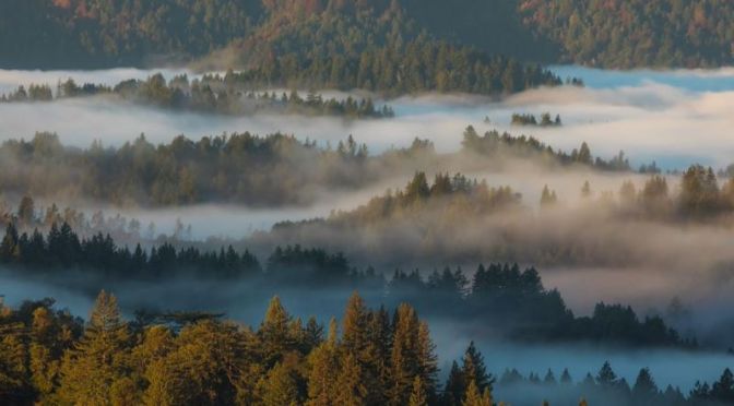 Timelapse Travel: ‘Santa Cruz Mountains’ In Northern California