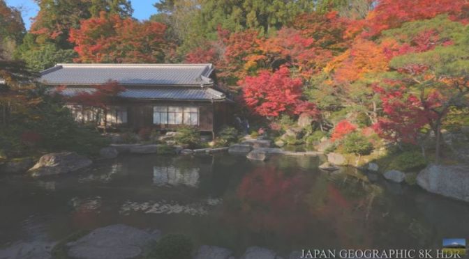 Autumn Travel: Hyakusaiji Temple, Higashiomi City, In Shiga, Japan (Video)