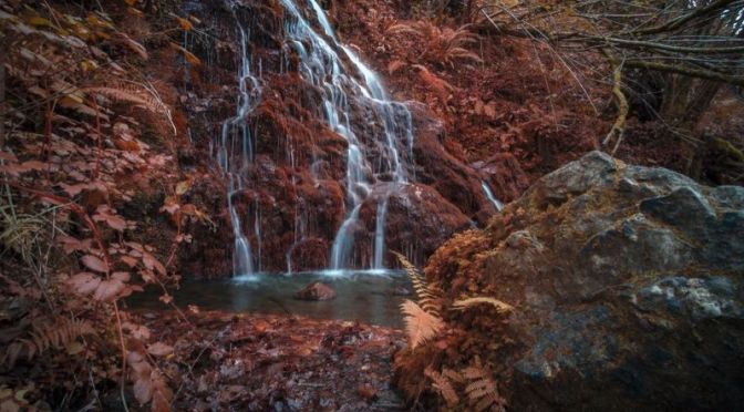 Nature: Local Woods In ‘Navarra – Spain’ Using Infrared Timelapse (Video)