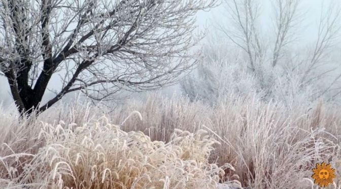 Winter View: ‘Blue Mounds State Park’ In Minnesota