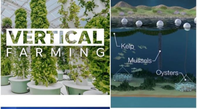 Next-Gen Food: ‘Vertical & Underwater Farming’