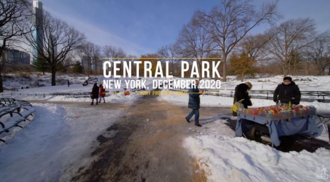 Winter Views: ‘Central Park’ In New York City