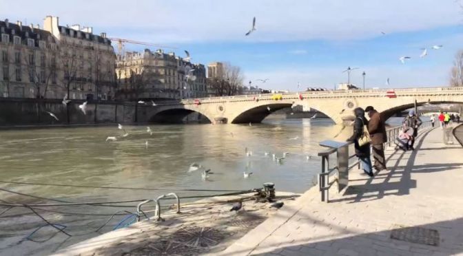 Sunday Walks: Along The Seine River In Paris (Video)