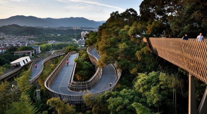 Walks: ‘Fuzhou Treetop Walkway’, China (4K Video)
