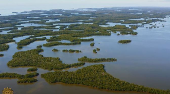 Winter Views: ‘Ten Thousand Islands’ In Southwest Florida