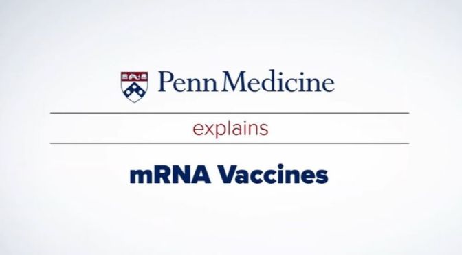 Covid-19: Penn Medicine Explains mRNA Vaccines