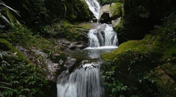 Views: ‘Toolona Creek Waterfalls’, Lamington National Park In Australia