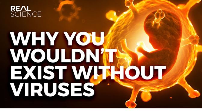 Science: ‘Why Viruses Are Necessary For Life’ (Video)