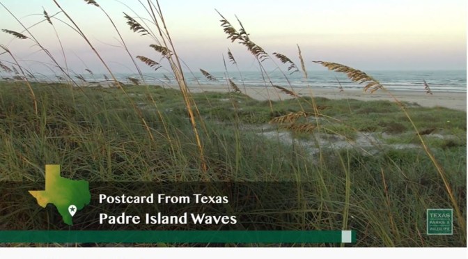 Coastal Views: ‘Padre Island – Texas’ (Video)