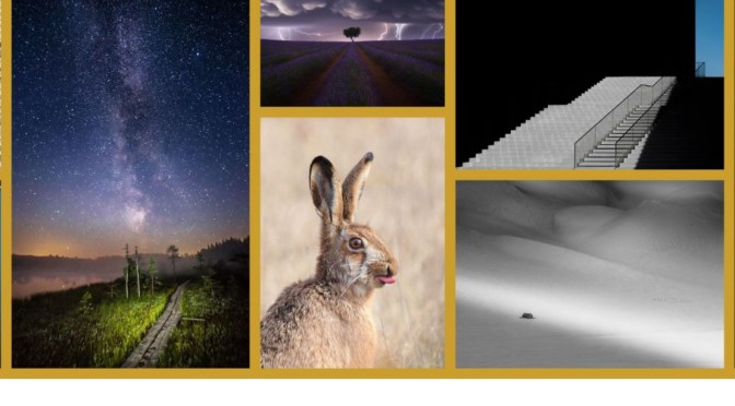 Views: ‘2021 Sony World Photography Awards’