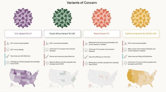 Covid-19 Infographic: ‘Tracking The Variants’