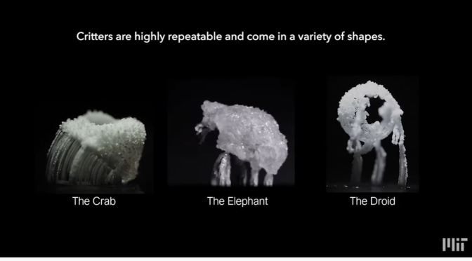Science: Salt Water Evaporation Creates “Crystal Critters’ (MIT)