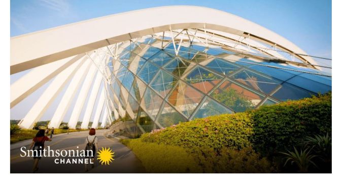 Views: How Singapore’s ‘Gardens By The Bay’ Was Constructed (Video)