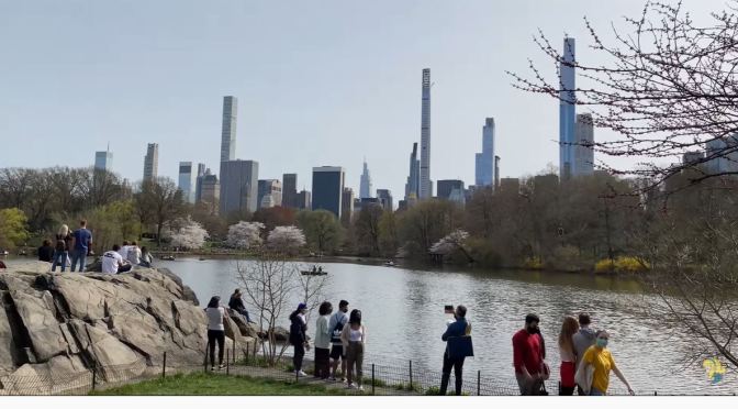 Spring Walks: ‘Central Park – New York City’ (4K)