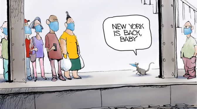Humor: Covid Cartoons