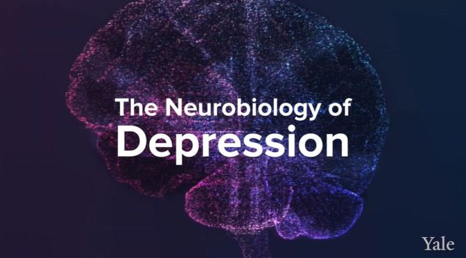 Health: How Depression Affects The Brain (Yale)