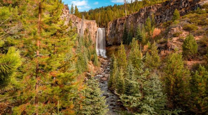 Natural Views: Deschutes National Forest, Oregon