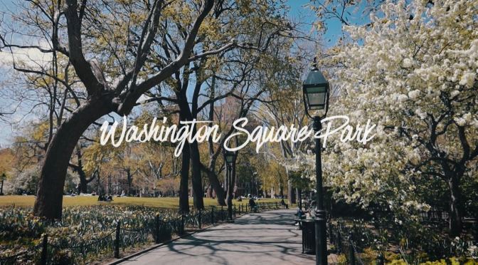 Spring Views: Washington Square Park, New York