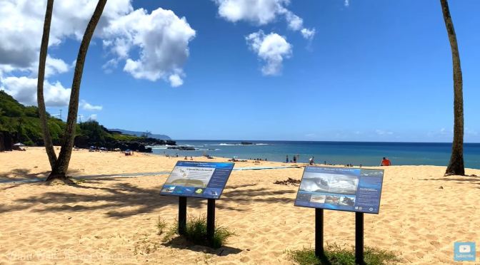 Walks: ‘Waimea Bay’, North Shore, Oahu, Hawaii (4K)