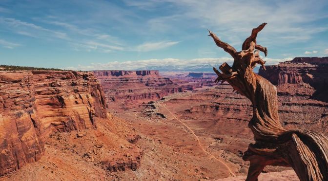 Aerial View: Canyonlands National Park, Utah (4K)