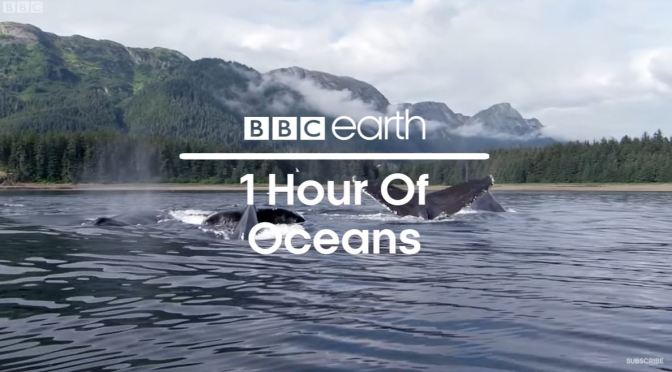 Views: ‘Ocean Moments’ From BBC Earth (Video)