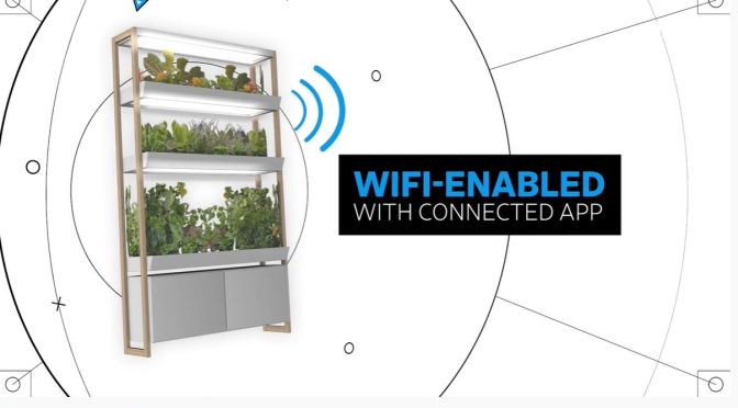 Reviews: Pros & Cons Of Indoor Smart Gardens