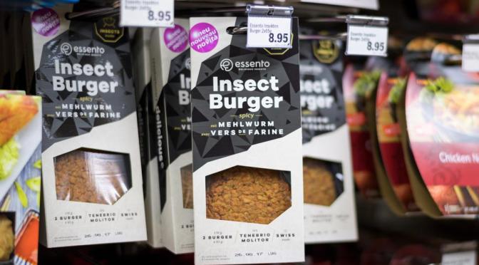 Reviews: EU Approves Insects As ‘Food’ (Video)