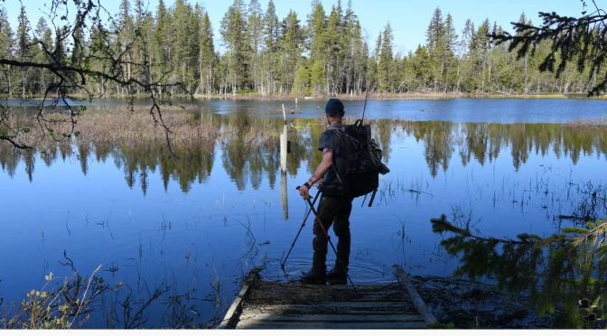 Lake Views: Hiking Solo In Northern Sweden (4K)