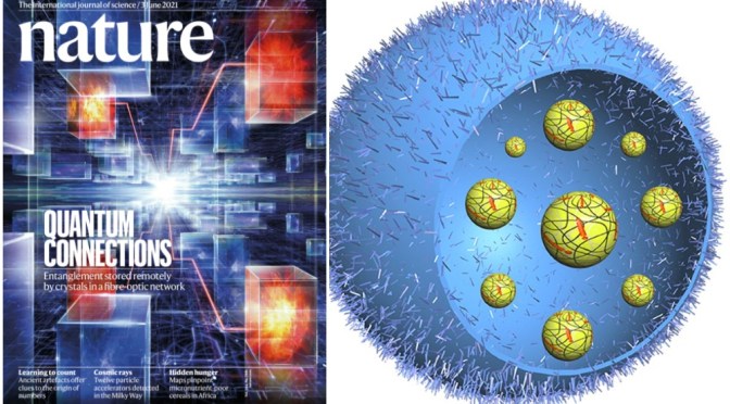 Research Highlights: Nature  – June 3, 2021