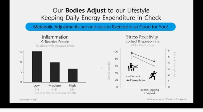Exercise: The Evolution Of Human Physical Activity