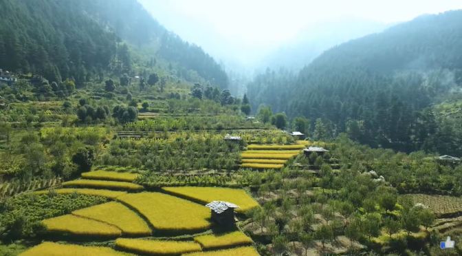 Views: Landscapes, Cities & Landmarks Of India (4K)