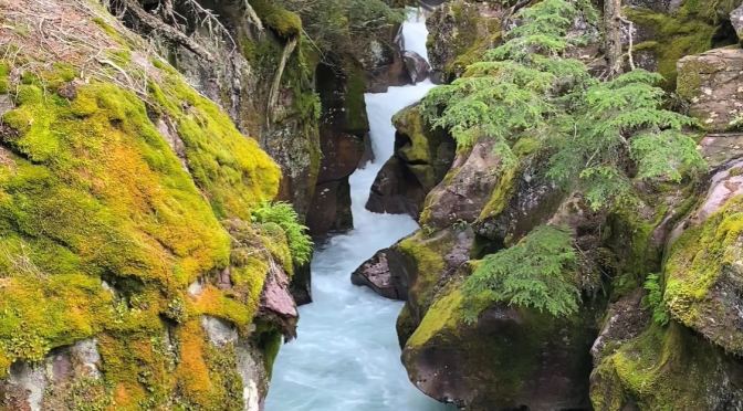 NATURE VIEWS:  GLACIER NATIONAL PARK IN MONTANA