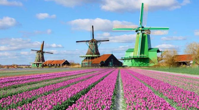 Windmill Walks: Zaanse Schans – Netherlands (4K)