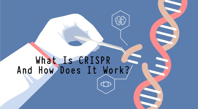 Science: What Is CRISPR And How Does It Work?