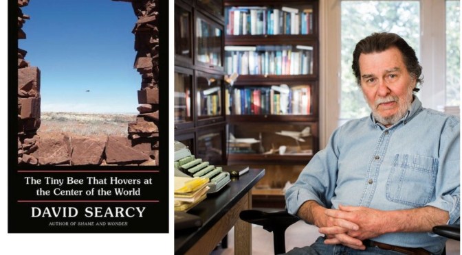 Books: ‘The Tiny Bee That Hovers At The Center Of The World’ – David Searcy