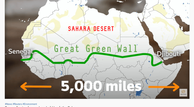 Sahara: Senegal Plants Circular Gardens To Prevent Desertification