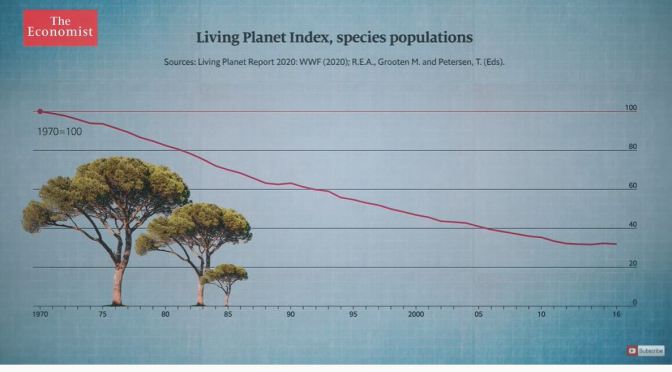Ecosystems: How To Stop Mass Extinction Of Species