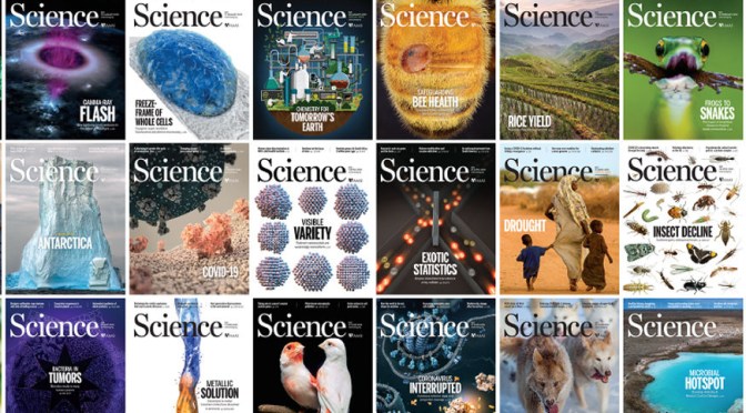 Research Preview: Science Magazine-Dec. 13, 2024