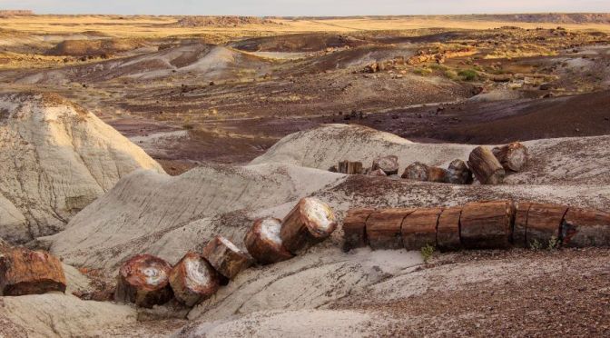 Walks: Petrified Forest National Park, Arizona