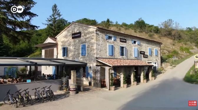 Bicycle Tours: Olive Oil Tasting In Istria, Croatia