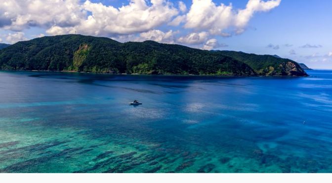 Island Views: Amami Oshima – Japan (8K)