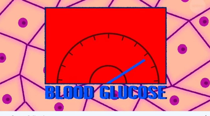 Diabetes: Understanding Insulin And Islets (Video)