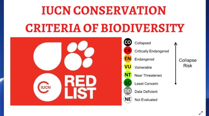 Nature: Report Finds 30% Of Species Face Extinction