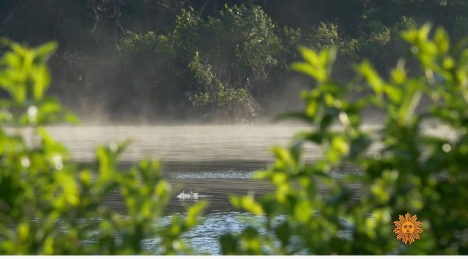Nature Views: Lake O’ The Pines In East Texas (CBS)