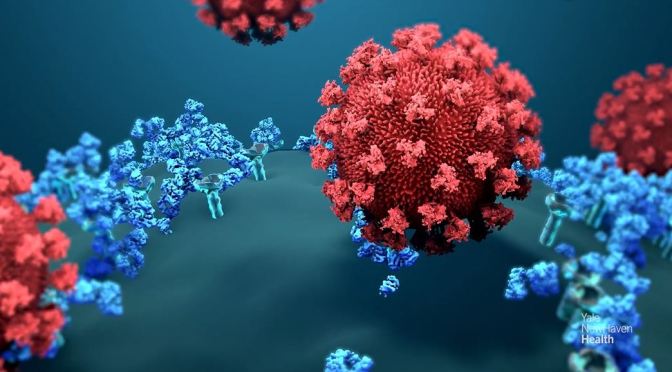 Covid-19: Molnupiravir –  Merck’s Antiviral Drug