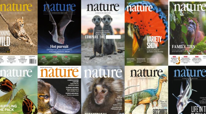Research Preview: Nature Magazine – August 10, 2023