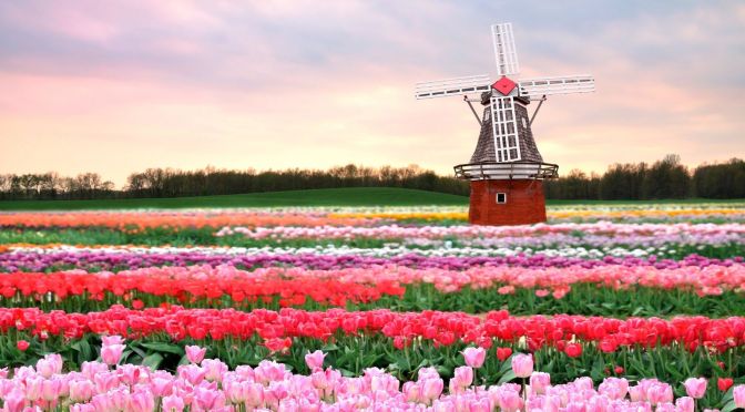 Netherlands Views: Cities, Windmills & Landscapes