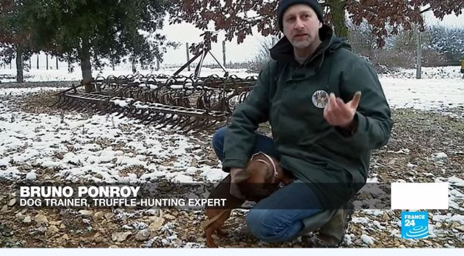 Delicacies: Black Truffle Hunting In New Aquitaine, Southwestern France