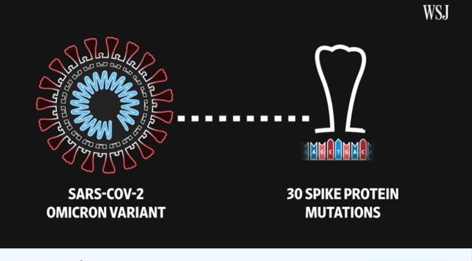 Covid-19: Why Omicron  Concerns Scientists (WSJ)