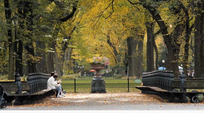 Big City Views: Autumn Colors In New York City